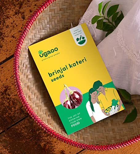 UGAOO Brinjal Kateri Vegetable Seeds (Pack of 800mg)