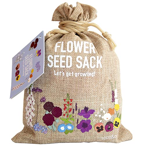 Scott&Co. Flower Seed Variety Pack - 30 Different Varieties of Flower Seeds to Grow Your Own. Butterfly and Bee Attracting, Grow Indoor and Outdoor. Mother's Day Gifts for Women and Men.