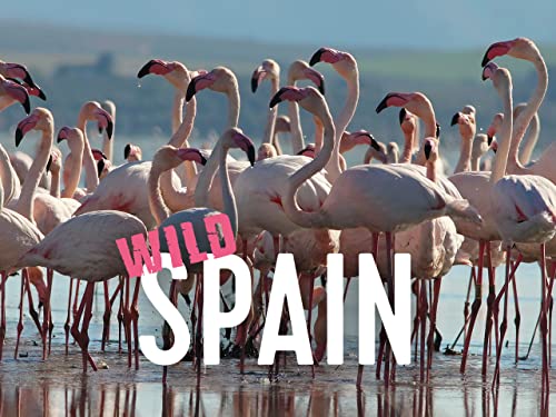 Wild Spain