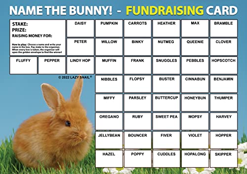 Lazy Snail 'Name the Bunny' Fundraising Cards - Pack of 8 Cards - 45 Squares and Fun Golden Winner Envelopes to Raise Money for Charity - Full Colour Fund Raising Cards (8 Cards) (A5)