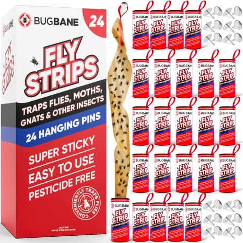 Fly Strips Indoor Sticky Hanging 24pk with Pins. Non Toxic Outdoor Fly Trap Indoor for Home. Flies Tape Paper Trap Ribbon Roll for House Gnat Fruit and Housefly. Bug Catchers for Inside Home Flypaper