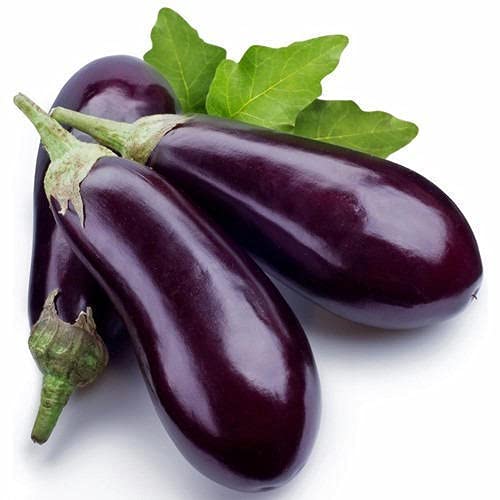 Go Garden Brinjal Vegetable Seeds (Red, Pack of 10g, 1800+ Seeds) Seeds to grow all seasons in Your Home & kitchen garden