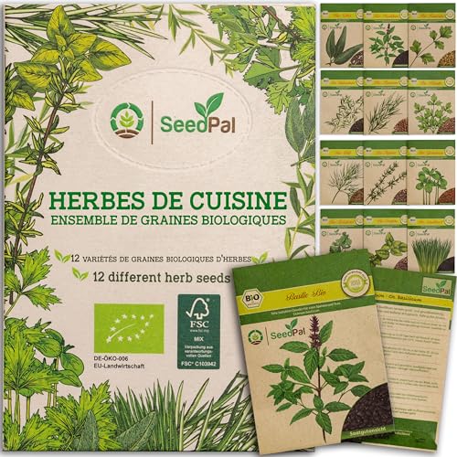 Kit Graine herbes aromatiques BIO | 12 différentes graines potager - Ton propre jardin herbes aromatiques pour la cuisine ou le balcon | kit plantes aromatiques