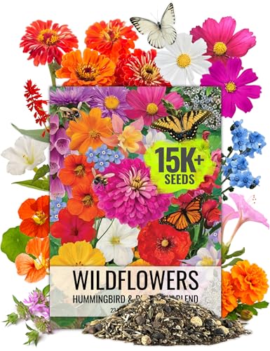Seed Needs Flower Seeds Hummingbird and Butterfly Seed Mix 1 Ounce No Filler | 23 Varieties Garden Seeds Annual & Perennial Species | Pollinator Attracting Flowering Seed | Bulk Resealable Package