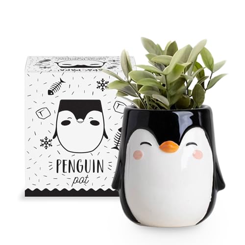 Apa la Papa, Penguin Animal Ceramic Planter for Indoor and Outdoors, 3 x 3 x 4 in., Cute Hand Painted Designed in Argentina, Convenient Drain Hole