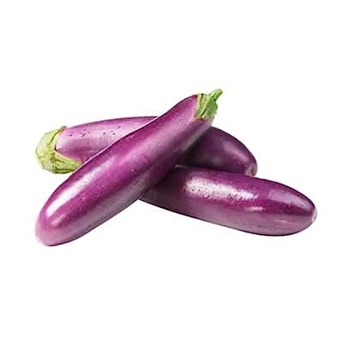 Veenas Sri Lankan Brinjal |1KG | 100% Fresh Vegetable | Srilakan Origin