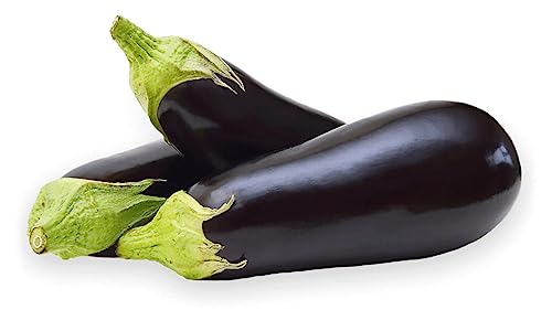 Veenas Fresh Dutch Aubergine | 500G | Brinjal | Dutch eggplant | 100% Fresh | Healthy Vegetable | Indian Origin
