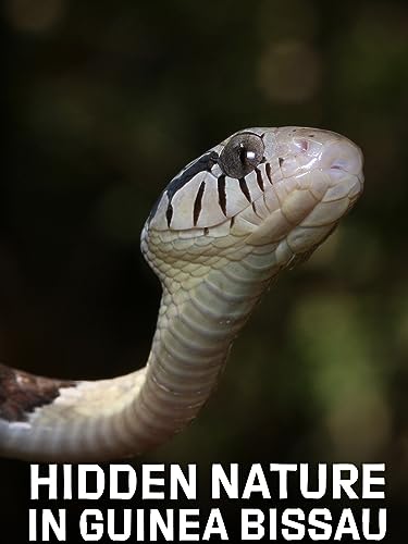 Hidden Nature In Guinea Bissau