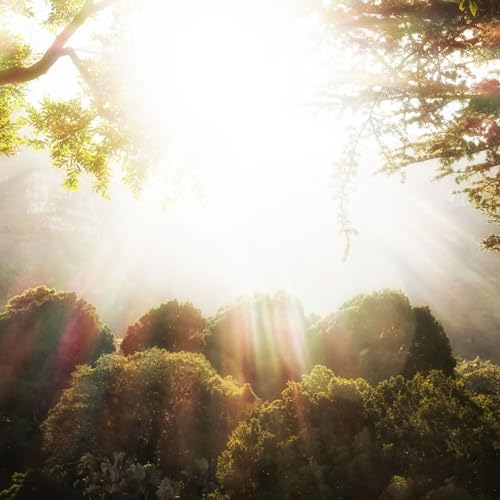 Hidden Nature's Woodland Melodies