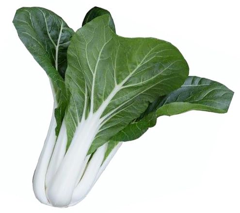 2025 Early Bird-Sow in Fall/Spring-4000 Bok Choy Seeds for Sprouting,Chinese Cabbage Seeds for Planting,Microgreen Seeds/Sprouting Seeds for Home Vegetable Garden.黑叶白菜 (Pak Choi White Stem, 10g)