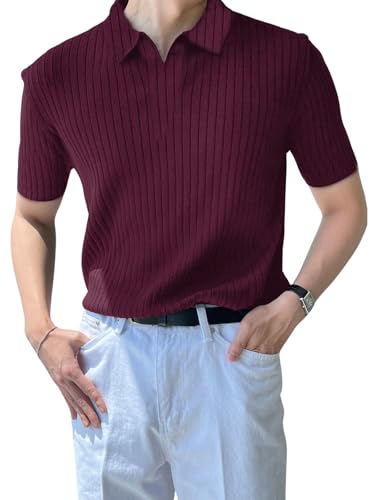 Leriya Fashion T Shirt for Men || Men T-Shirt || || Men Polo T-Shirt || Men Pain T-Shirt (Large, Wine)