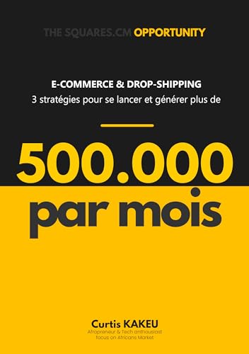 E-COMMERCE & DROP-SHIPPING: 03 stratégies pour se lancer et générer plus de 500.000 par mois