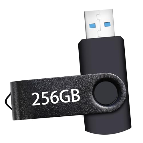 USB Flash Drive 256GB, Portable Thumb Drive: Memory Stick 256GB, Large Capacity USB Drive with Keychain, High-Speed USB 2.0 Data Storage Flash Drive for PC/Laptop