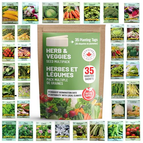 THUNDERBAY-GBSE Vegetable & Herb Seed Variety Pack of 35 Heirloom Sachets Approx. 5100 Seeds(100% Non GMO,35 Individually Packed Sachets, 35 Planting Tags) 35 sachets d'herbes et de légumes