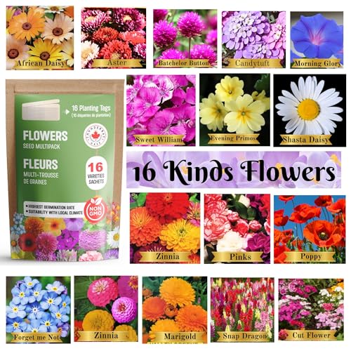 THUNDERBAY-GBSE Flowers Seed Variety Pack of 16 Sachets Approx. 3300 Seeds(100% Non GMO,16 Individually Packed Sachets, 16 Planting Tags) 16 Sachets de graines de Fleurs