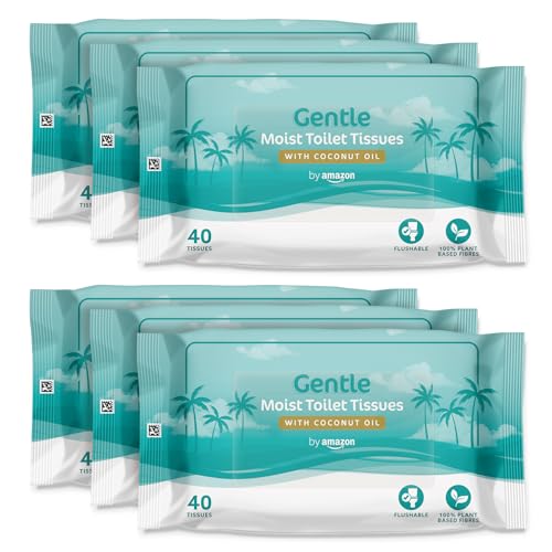 By Amazon Gentle Moist Toilet Tissues with Coconut Oil, 240 Count (6 Packs of 40)