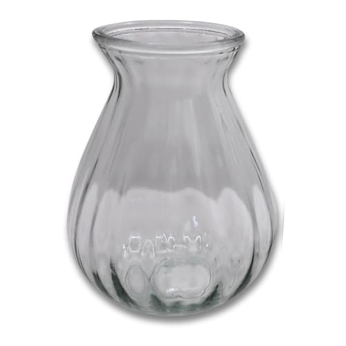 Hyazinthenglas Ideal für präparierte Hyazinthen oder Ableger von Zimmerpflanzen Farblos/klar