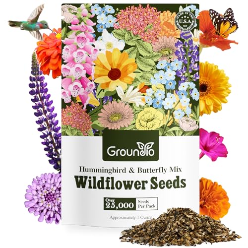Wildflower Seeds Hummingbird and Butterfly Mix 1 Ounce, No Filler, 24 Varieties Flowers Seeds to Plant Outside, Annual Perennial, Bulk Resealable Package