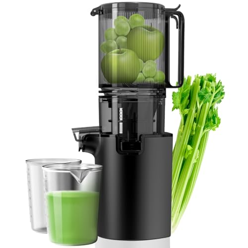 Masticating Juicer, Slow Cold Press Juicer with 5.3" Larger Feed Chute, Pure Juicer Machines for Whole Vegetables & Fruits, Easy to Clean with Brush